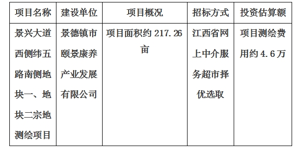 景興大道西側(cè)緯五路南側(cè)地塊一、地塊二宗地